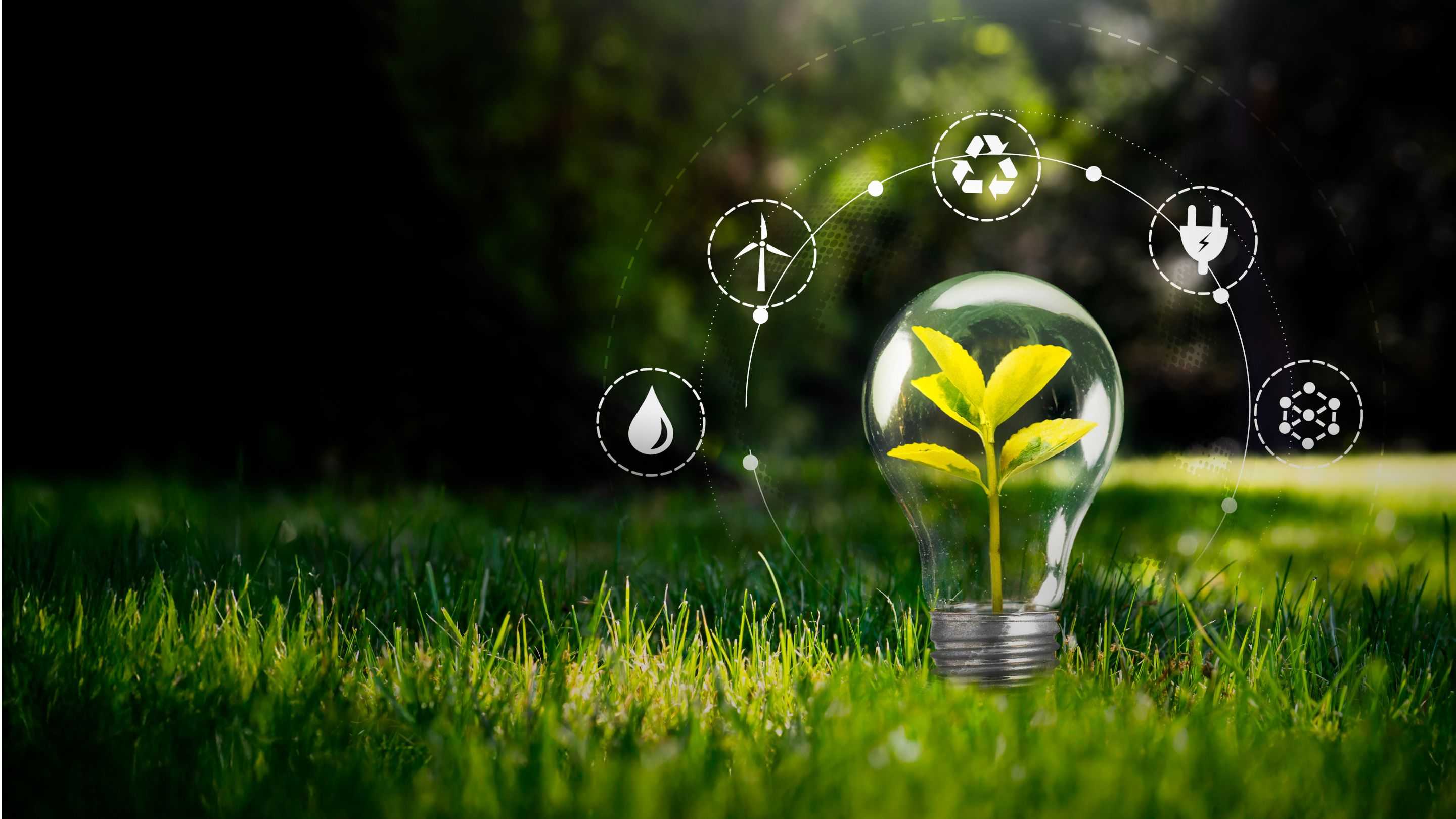 Apa Benar Kebiasaan Sehari-hari Bisa Tingkatkan Jejak Ekologi?